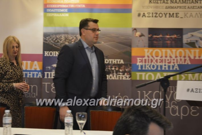 alexandriamou.nalmpantis2019136