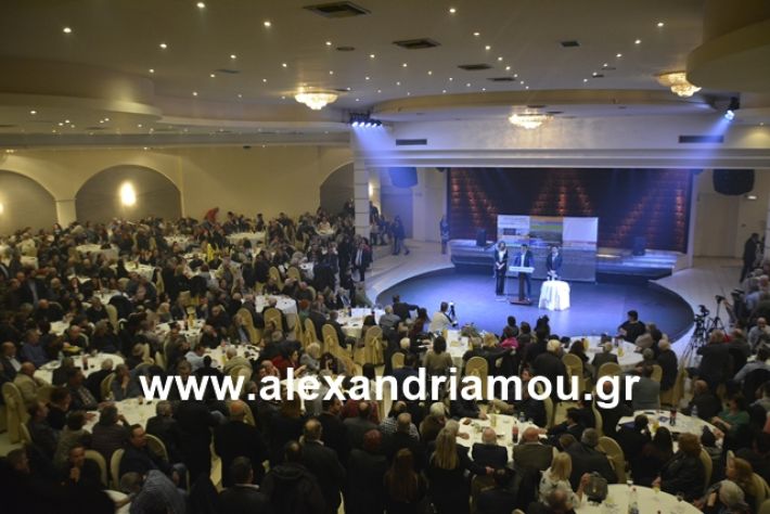 alexandriamou.gr_nalmpntisomilia20191083