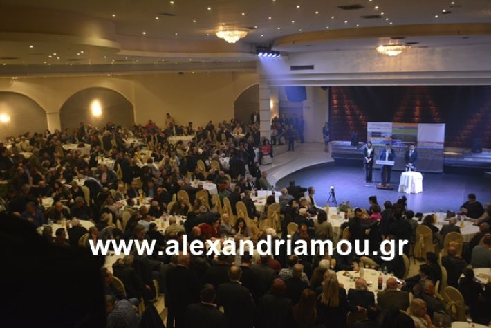 alexandriamou.gr_nalmpntisomilia20191087