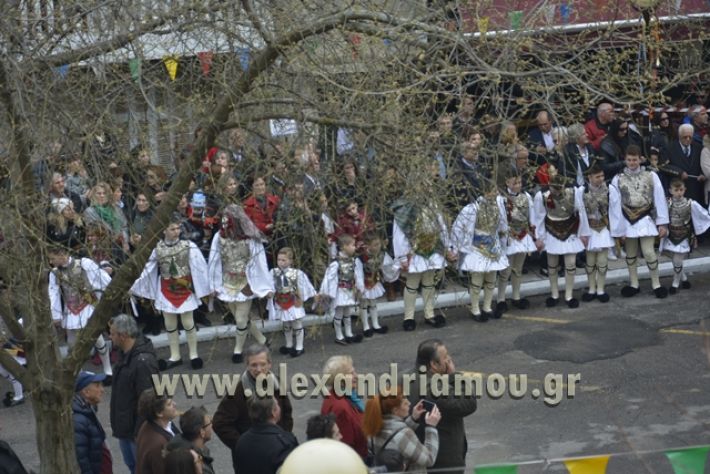 naousa2018_genitsaroi098