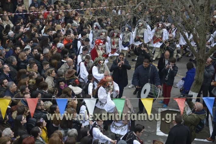 naousa2018_genitsaroi100