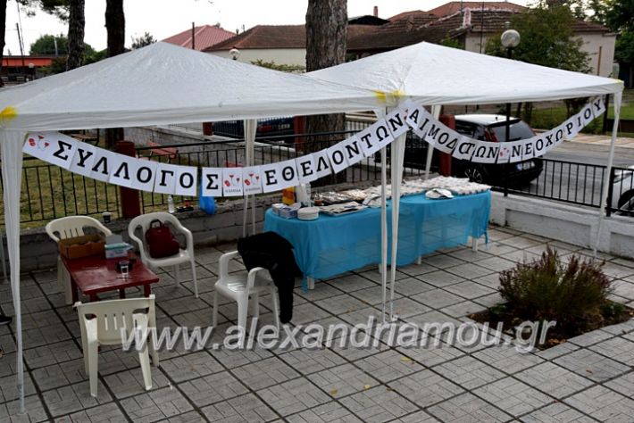 alexandriamou.gr_aimodosia25DSC_0327