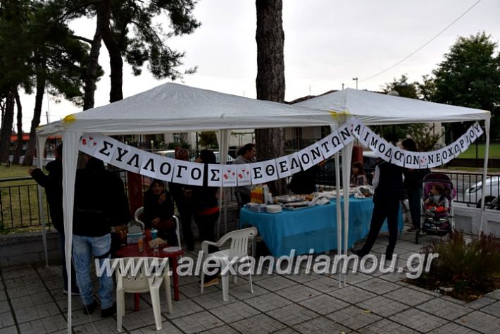 alexandriamou.gr_aimodosia25DSC_0348