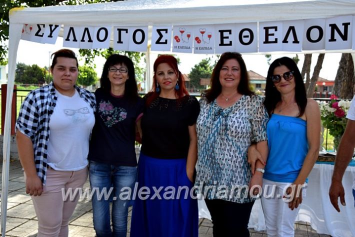 alexandriamou.gr_neoxori_aimodosia20DSC_1277