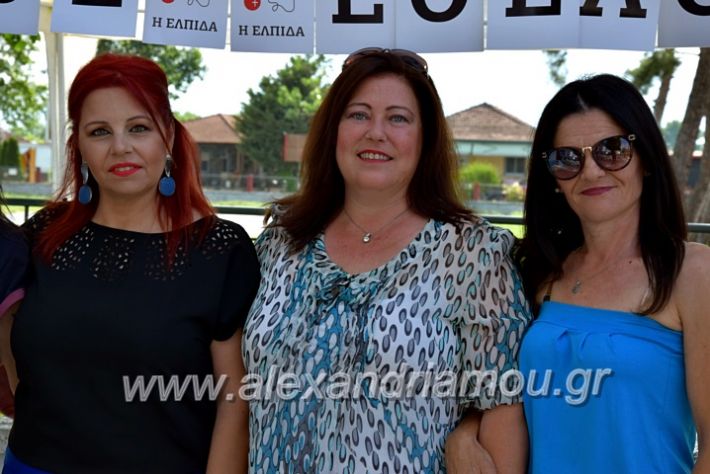 alexandriamou.gr_neoxori_aimodosia20DSC_1279