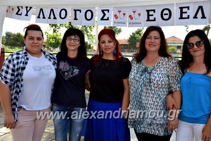 alexandriamou.gr_neoxori_aimodosia20DSC_1281