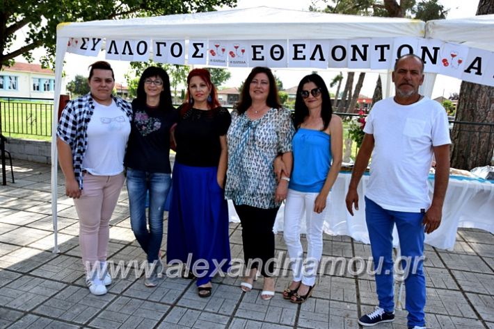 alexandriamou.gr_neoxori_aimodosia20DSC_1282