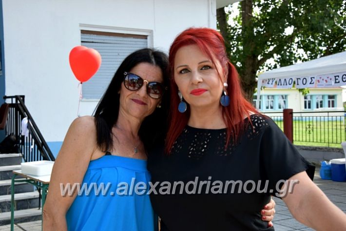 alexandriamou.gr_neoxori_aimodosia20DSC_1296