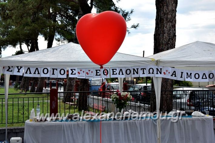 alexandriamou.gr_neoxori_aimodosia20DSC_1308