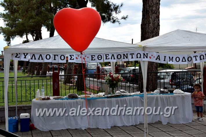 alexandriamou.gr_neoxori_aimodosia20DSC_1309