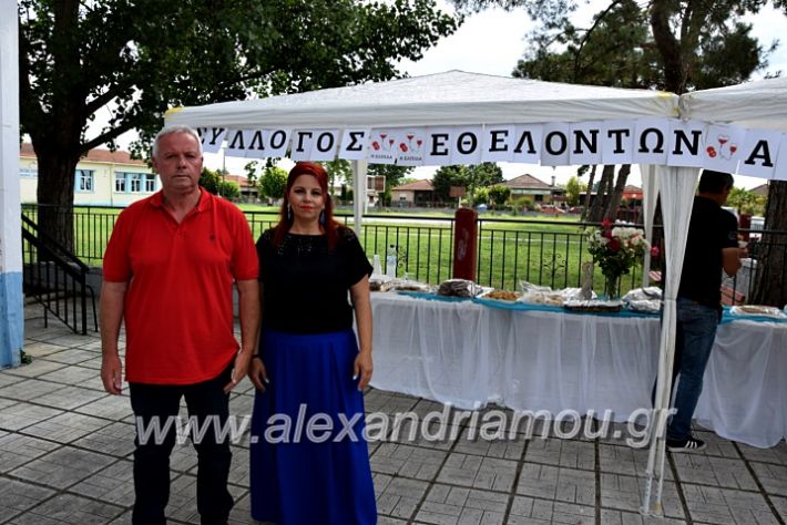 alexandriamou.gr_neoxori_aimodosia20DSC_1322