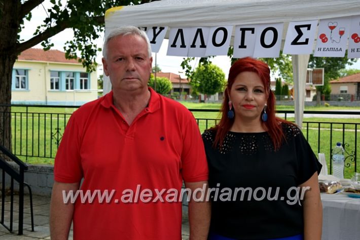 alexandriamou.gr_neoxori_aimodosia20DSC_1323