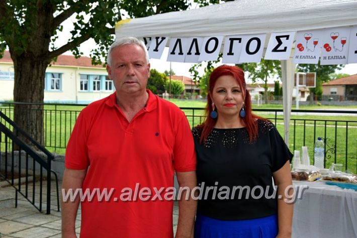 alexandriamou.gr_neoxori_aimodosia20DSC_1325