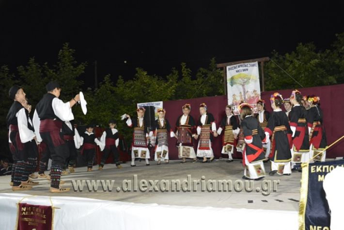 alexandriamou_nhseli_paidiko_festibal17_012