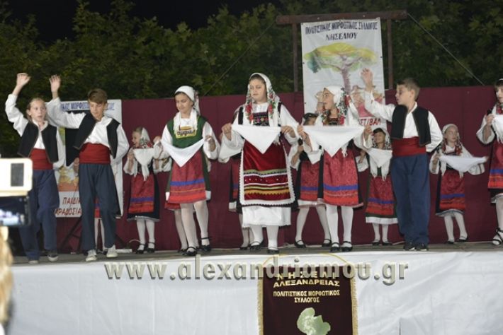 alexandriamou_nhseli_paidiko_festibal17_031