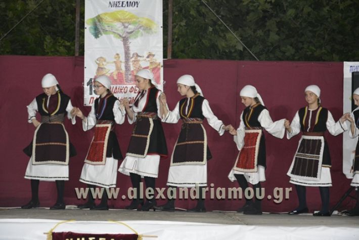 alexandriamou_nhseli_paidiko_festibal17_033