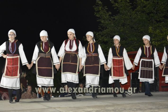 alexandriamou_nhseli_paidiko_festibal17_035