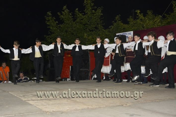 alexandriamou_nhseli_paidiko_festibal17_043