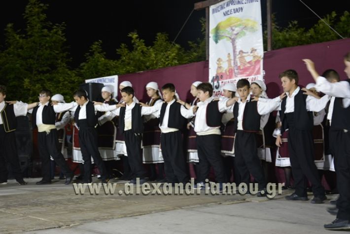 alexandriamou_nhseli_paidiko_festibal17_047