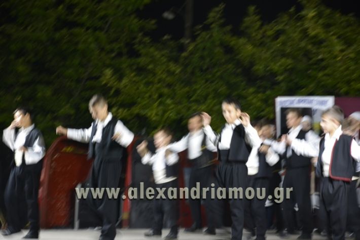 alexandriamou_nhseli_paidiko_festibal17_048