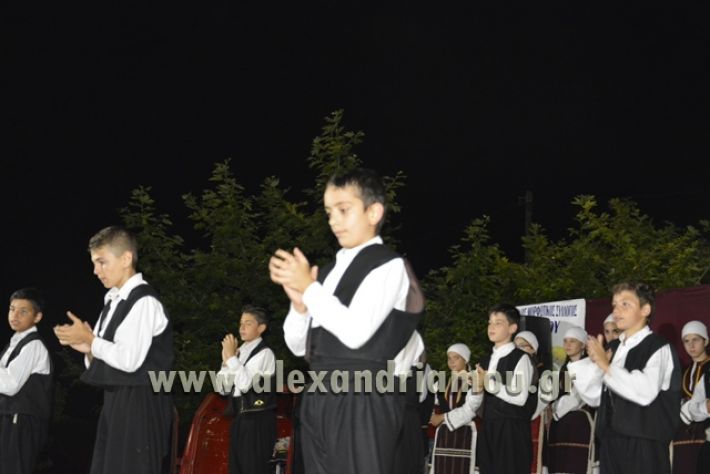 alexandriamou_nhseli_paidiko_festibal17_050