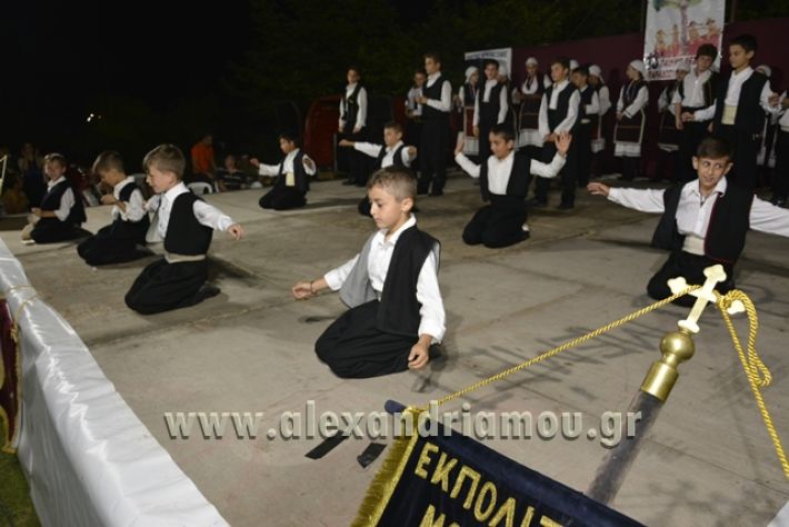 alexandriamou_nhseli_paidiko_festibal17_053