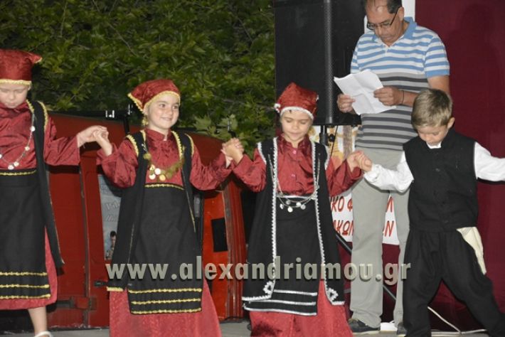 alexandriamou_nhseli_paidiko_festibal17_057