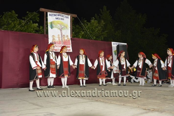 alexandriamou_nhseli_paidiko_festibal17_071