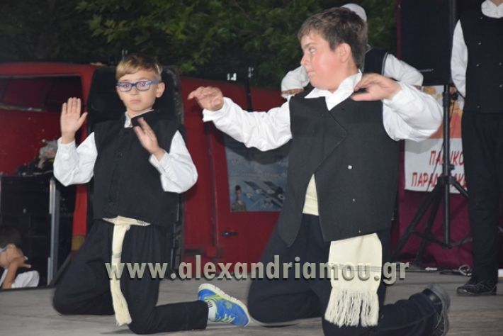 alexandriamou_nhseli_paidiko_festibal17_097