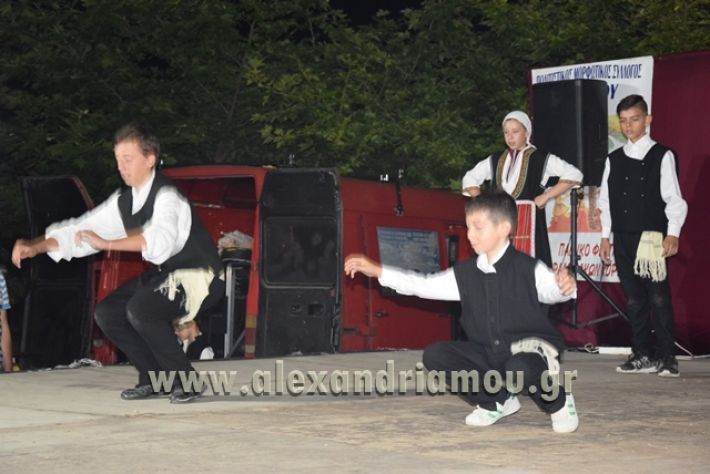 alexandriamou_nhseli_paidiko_festibal17_099