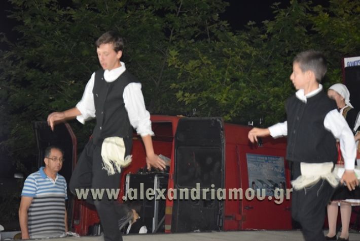 alexandriamou_nhseli_paidiko_festibal17_100