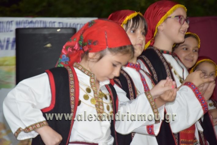 alexandriamou_nhseli_paidiko_festibal17_106