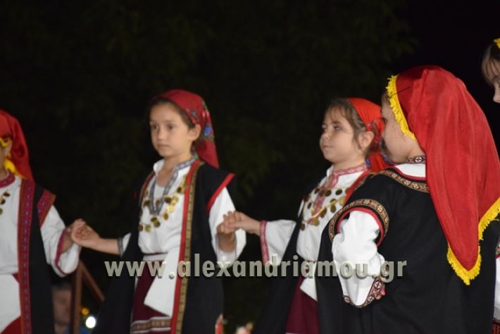 alexandriamou_nhseli_paidiko_festibal17_110