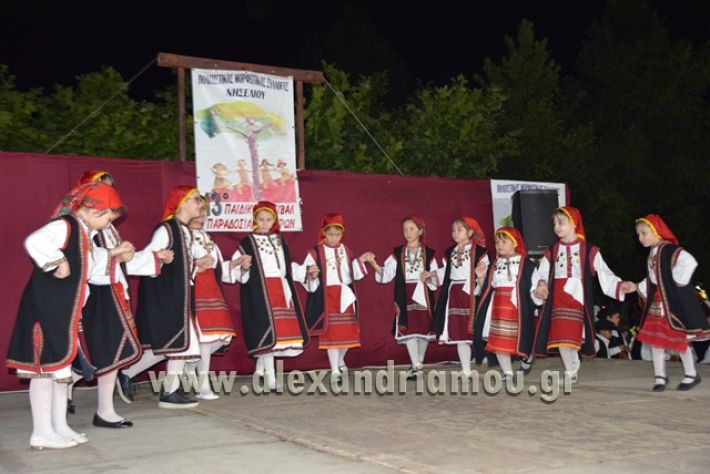 alexandriamou_nhseli_paidiko_festibal17_114