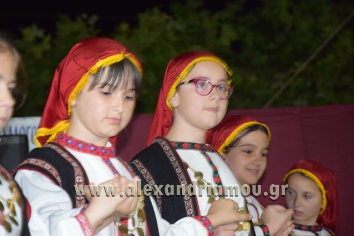 alexandriamou_nhseli_paidiko_festibal17_116