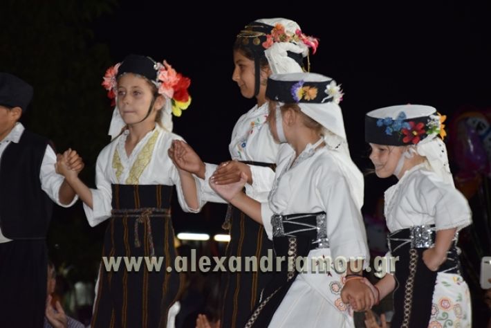 alexandriamou_nhseli_paidiko_festibal17_154