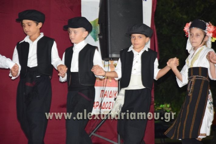 alexandriamou_nhseli_paidiko_festibal17_156