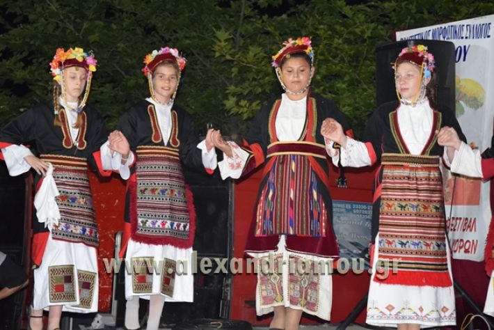 alexandriamou_nhseli_paidiko_festibal17_159