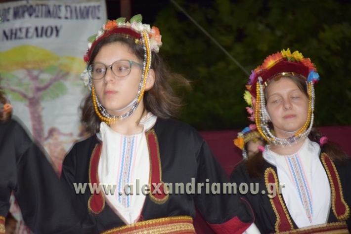 alexandriamou_nhseli_paidiko_festibal17_171