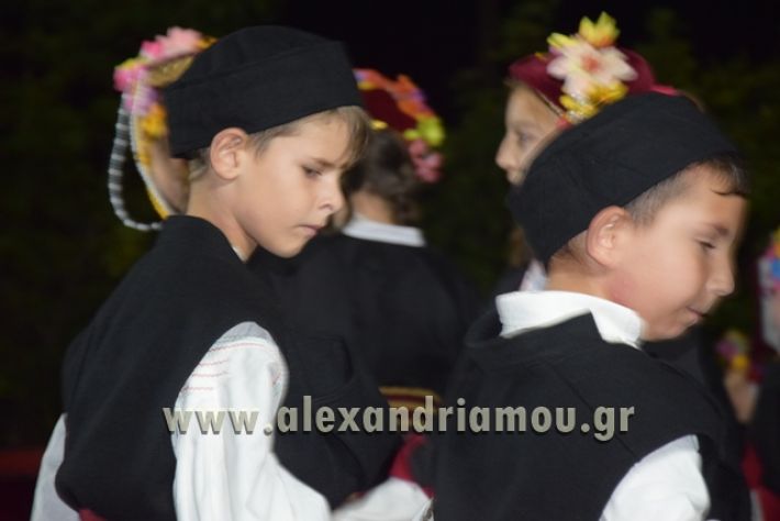 alexandriamou_nhseli_paidiko_festibal17_173