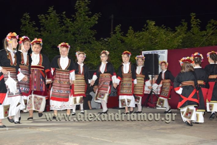 alexandriamou_nhseli_paidiko_festibal17_174