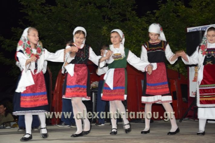 alexandriamou_nhseli_paidiko_festibal17_218