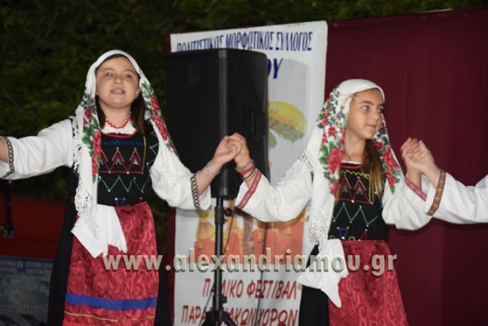 alexandriamou_nhseli_paidiko_festibal17_222