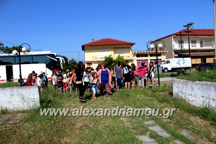 alexandriamou_nisi7.6.2019030