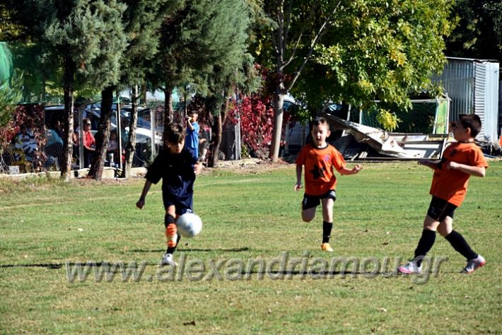 alexandriamou.gr_nisi10102DSC_0006