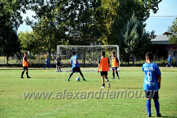 alexandriamou.gr_nisi10102DSC_0011