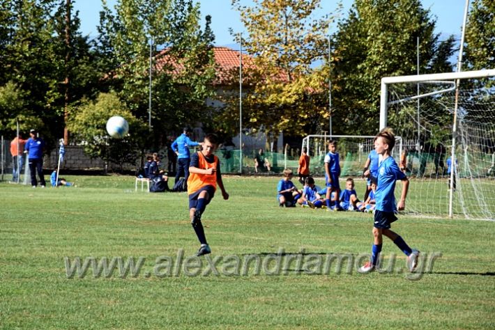 alexandriamou.gr_nisi10102DSC_0015