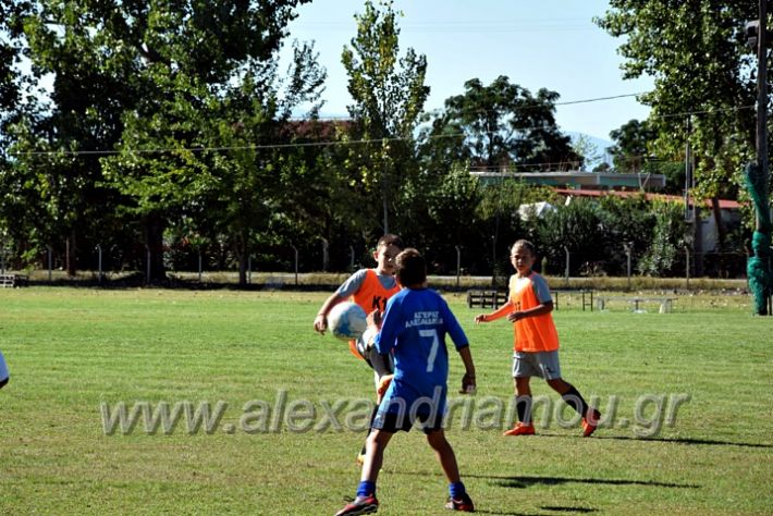 alexandriamou.gr_nisi10102DSC_0017