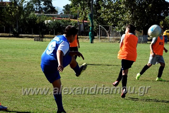 alexandriamou.gr_nisi10102DSC_0021