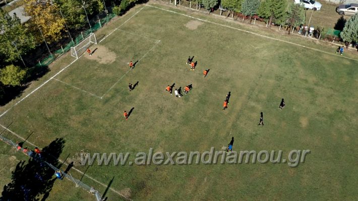 alexandriamou.gr_nisi1010DJI_0333
